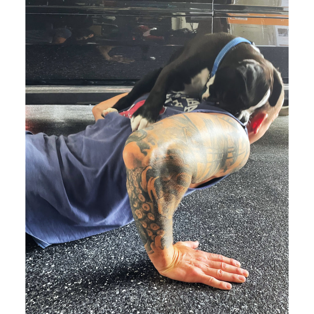 HIIT Mamas Free Daily At-Home Workout